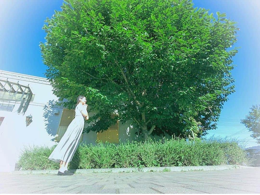 大盛真歩さんのインスタグラム写真 - (大盛真歩Instagram)「🌳 . . . 昔友達がいい感じに撮ってくれた写真📸💭 . . . #木 #風 #自然 #青空 #instagood」7月5日 19時55分 - maho_usagi