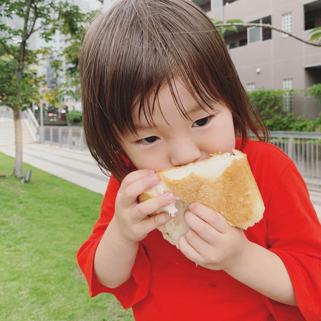 坂本美雨さんのインスタグラム写真 - (坂本美雨Instagram)「コレクションしてる #幼児と大きいパン シリーズ🍞の中でも贅沢なやつ。いただきものの貴重なペリカンの食パンをかたまりで、、、 . . #今日のなまこちゃん  #3歳11ヶ月 #ペリカンパン」7月5日 20時49分 - miu_sakamoto