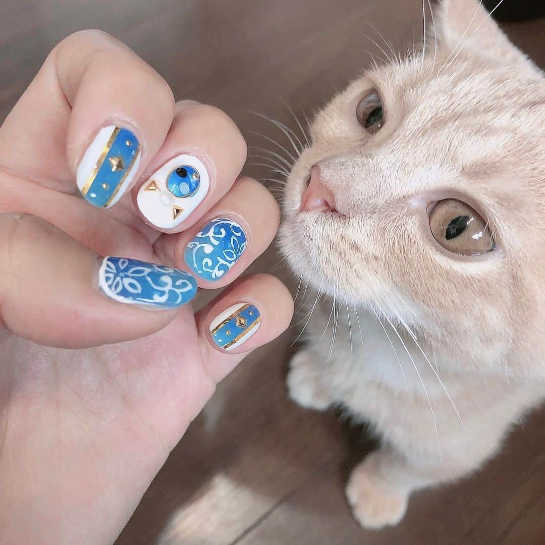 叶恵まそらのインスタグラム：「夏仕様 #newnail #kitten  #His name is Golden Dawn  #My cute son」