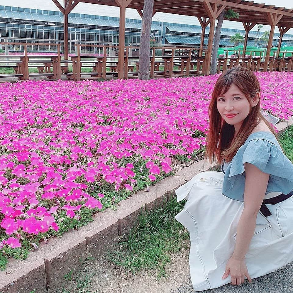 上村彩子さんのインスタグラム写真 - (上村彩子Instagram)「綺麗な花畑🌸 ナス科のお花だったかな…！？ 言われてみたらなんとなくナスのお花に見た目似てるよね！ すごく良い時期に行けた✨ #花畑 #夏感 #神戸どうぶつ王国 #flower #flowergarden #可愛い #ピンク #happy #redyazel  #awesome #二の腕 #太さ #なんとかしなければ #密かにエクササイズしてるんだけど #全然変わらない #なみだ」7月5日 22時02分 - ayako_uem