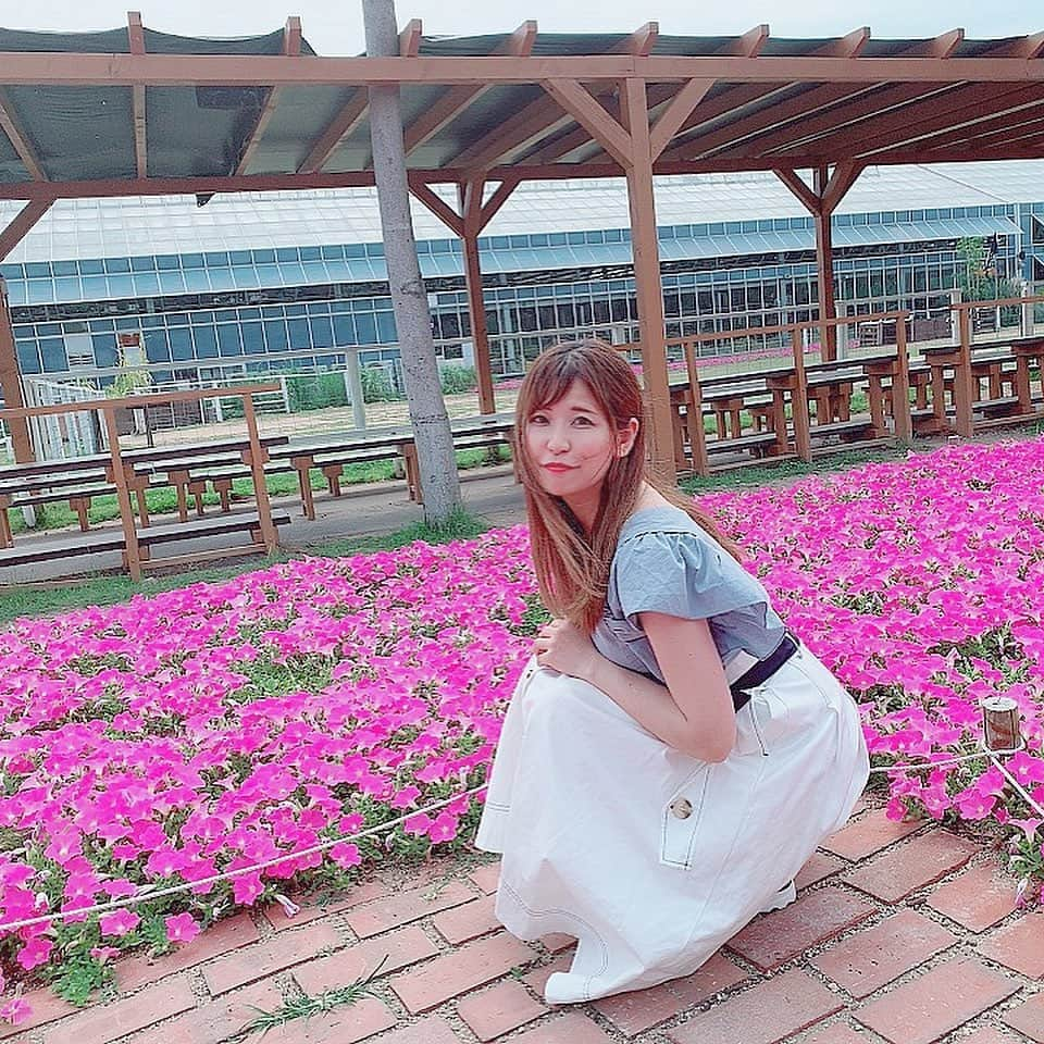 上村彩子さんのインスタグラム写真 - (上村彩子Instagram)「綺麗な花畑🌸 ナス科のお花だったかな…！？ 言われてみたらなんとなくナスのお花に見た目似てるよね！ すごく良い時期に行けた✨ #花畑 #夏感 #神戸どうぶつ王国 #flower #flowergarden #可愛い #ピンク #happy #redyazel  #awesome #二の腕 #太さ #なんとかしなければ #密かにエクササイズしてるんだけど #全然変わらない #なみだ」7月5日 22時02分 - ayako_uem