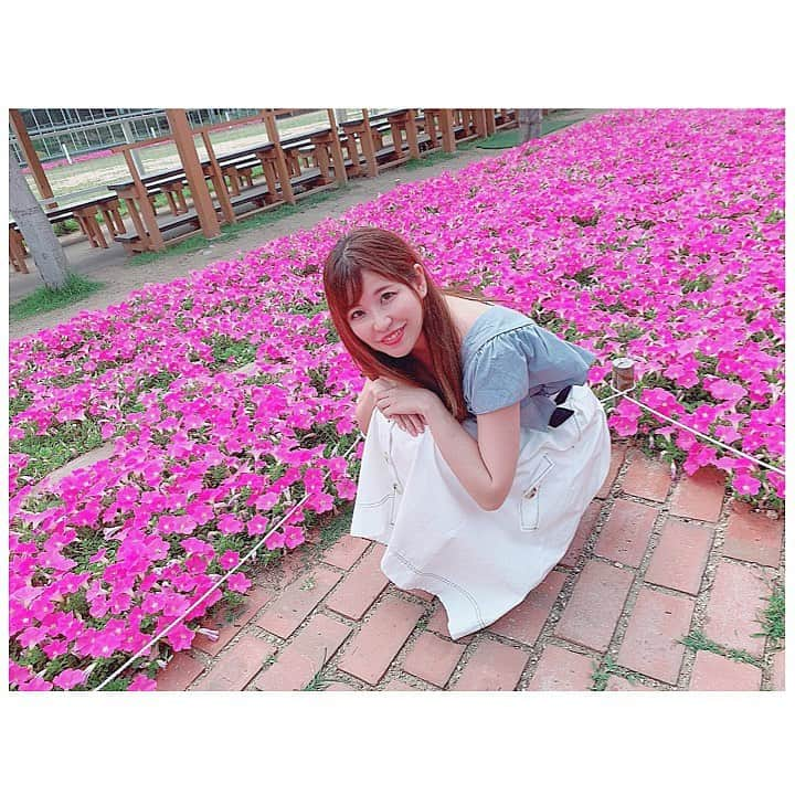 上村彩子のインスタグラム