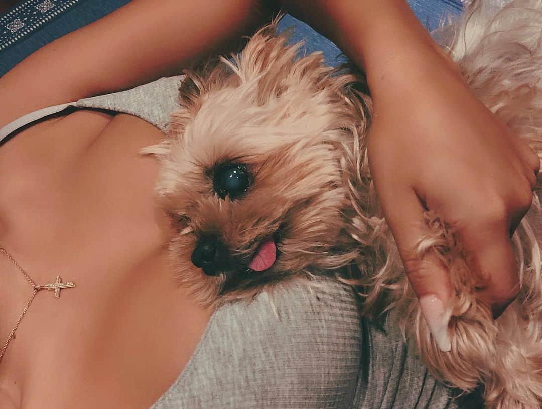 荒木さやかさんのインスタグラム写真 - (荒木さやかInstagram)「miss u baby🐶♡ #mylove #my baby #dog #yorkie」7月5日 22時18分 - araki_sayaka