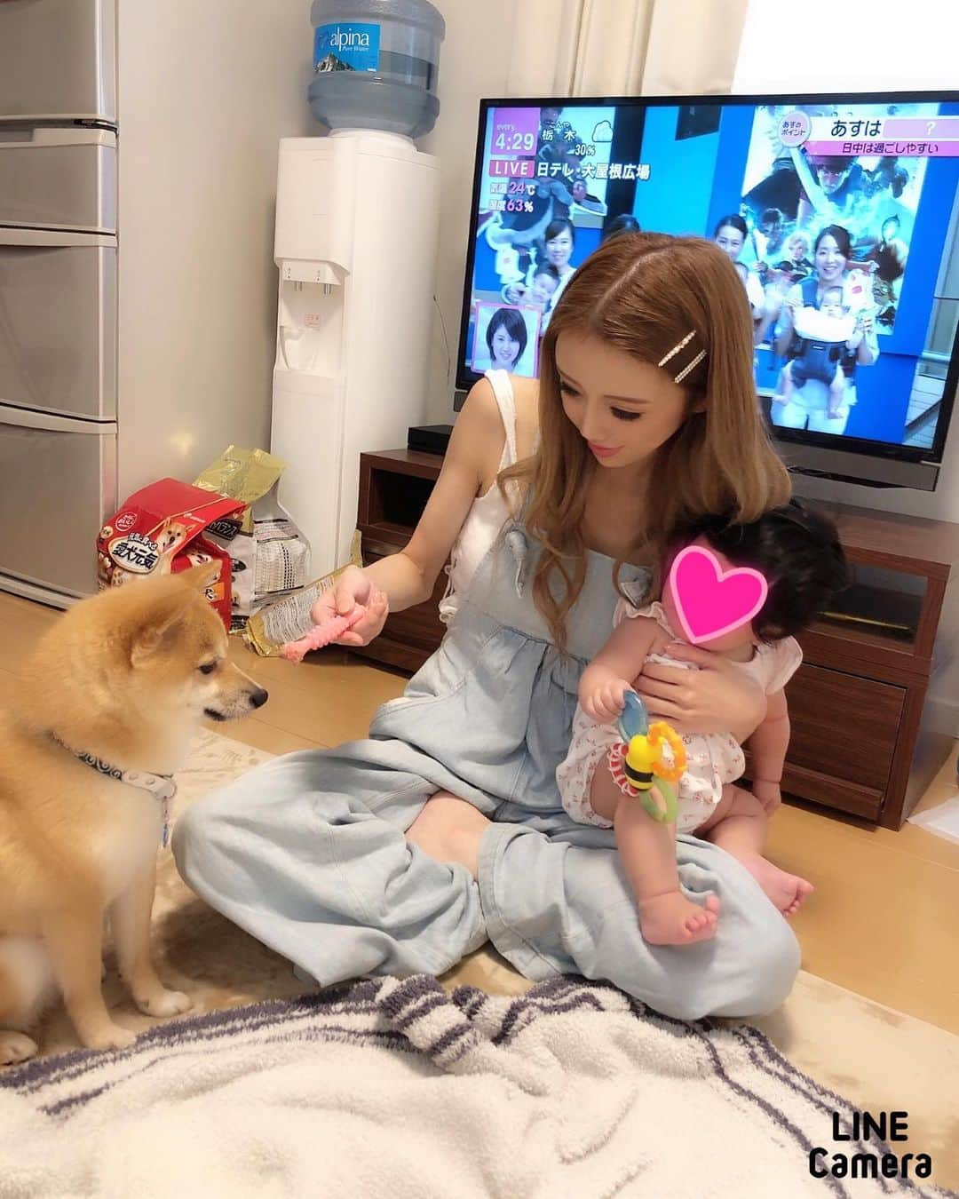 MARIEさんのインスタグラム写真 - (MARIEInstagram)「豆柴と赤ちゃん👶🏼🐕💕 会ったとき毎回泣いてたけど、初めて今日やっとにこ〜ってしてた😚 #新米ママ #プレママ #マタニティ #育児 #妊娠 #ママリ #女の子ママ #赤ちゃん #ママ友 #主婦 #赤ちゃんのいる生活  #mama #instagood #dog #mameshiba  #豆柴 #柴犬」7月5日 22時29分 - marie_mimura