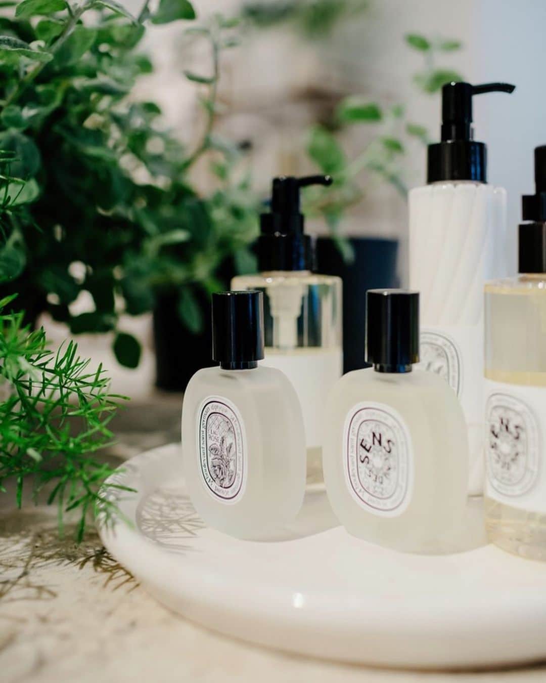 Club Monacoさんのインスタグラム写真 - (Club MonacoInstagram)「Out East this weekend? Celebrate the long weekend with a @diptyque candle from our Southampton pop-up. Yours with any purchase until July 7th. ✨」7月5日 22時30分 - clubmonaco
