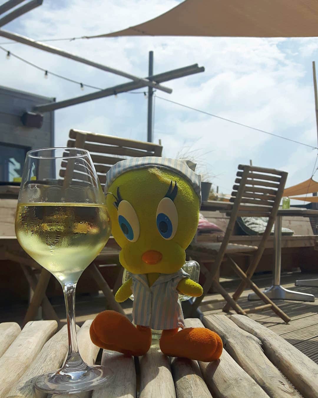 Little Yellow Birdさんのインスタグラム写真 - (Little Yellow BirdInstagram)「It's Friday, my friends! Cheers, and have a good weekend!! #littleyellowbird #tweety #tweetykweelapis #adventures #yellow #bird #weekend #friday #happyhour #drinks #cheers #proost #borrelen #whitewine #wine #fun #sun #sunnyday #summer #july #stuffedanimalsofinstagram #plushiesofinstagram」7月5日 22時58分 - tweetykweelapis
