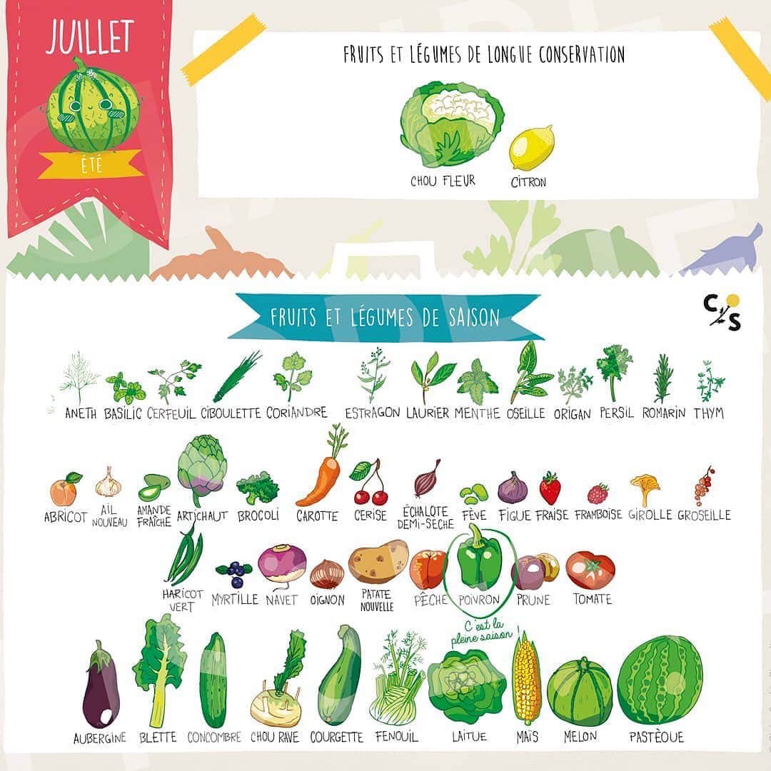 のインスタグラム：「#fruitsetlegumesdesaison by @clairesophiepissenlit #juillet」