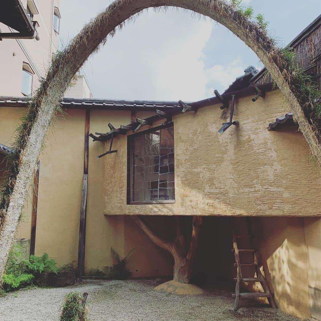 LABOdezaoさんのインスタグラム写真 - (LABOdezaoInstagram)「街中のお寺の奥の別世界。サルバドールダリやコルビジェからもインスピレーションを得たという曲線だけで構成されるツリーハウスの茶室。#土佐漆喰  四度塗りの壁床天井に光の回る夕暮れ時も想像してしばし異世界に漂うひと時でした。 #徳正寺 #秋野不矩 #藤森照信  #ラコリーナ でおなじみの建築家さん。有機的な建築は生き物のようです #リノベーション協議会 今年も秋にはリノベーションエキスポKYOTO開催予定 デス #ライフスタイルリノベーション #マンションリノベ #マンションリノベーション #デザオ建設 #デザオ #DEZAO  #DsLABO #京都#戸建リノベーション #リノベーション #リフォーム  #注文住宅 #マイホーム  #家 #住宅 #建築 #暮らし #マイホーム計画 #インテリア #デザイン #家づくり #木の家#和風モダン  #モノトーンインテリア  催します。デザオ建設のリフォーム、詳しい情報はこちらからどうぞ → @dezaoreform」7月5日 23時32分 - dezaoreform