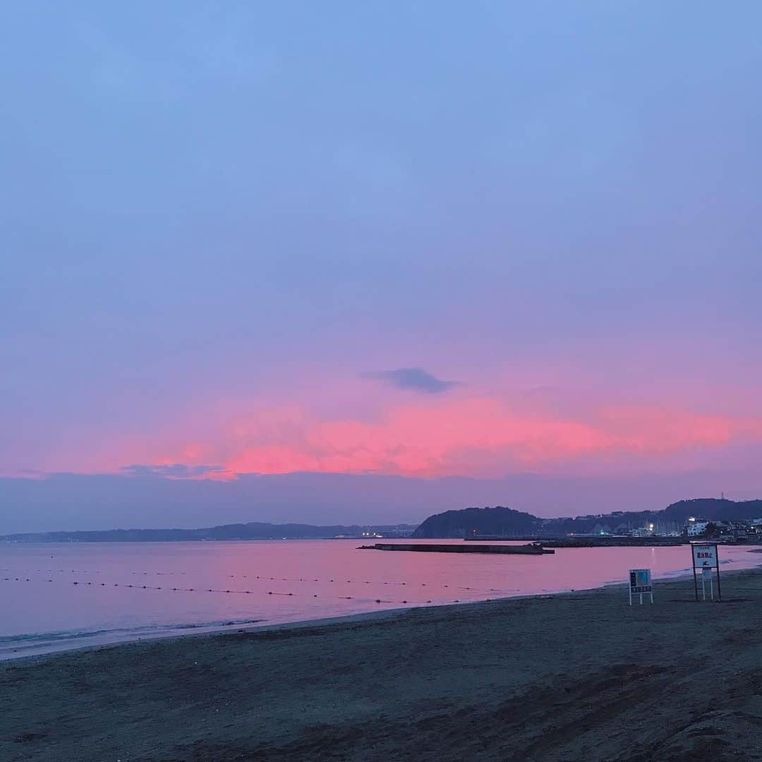 マル子さんのインスタグラム写真 - (マル子Instagram)「夕方からは森戸に出没  OASISはやはりHOMEです。  そして今年からCABaNチームが新しく始めたPALMO！映えます  この後大好きなあの子にサヨナラを言いに移動しました。  #マル子  #柴犬  #shiba  #oasis  #palmo」7月5日 23時32分 - tomikago