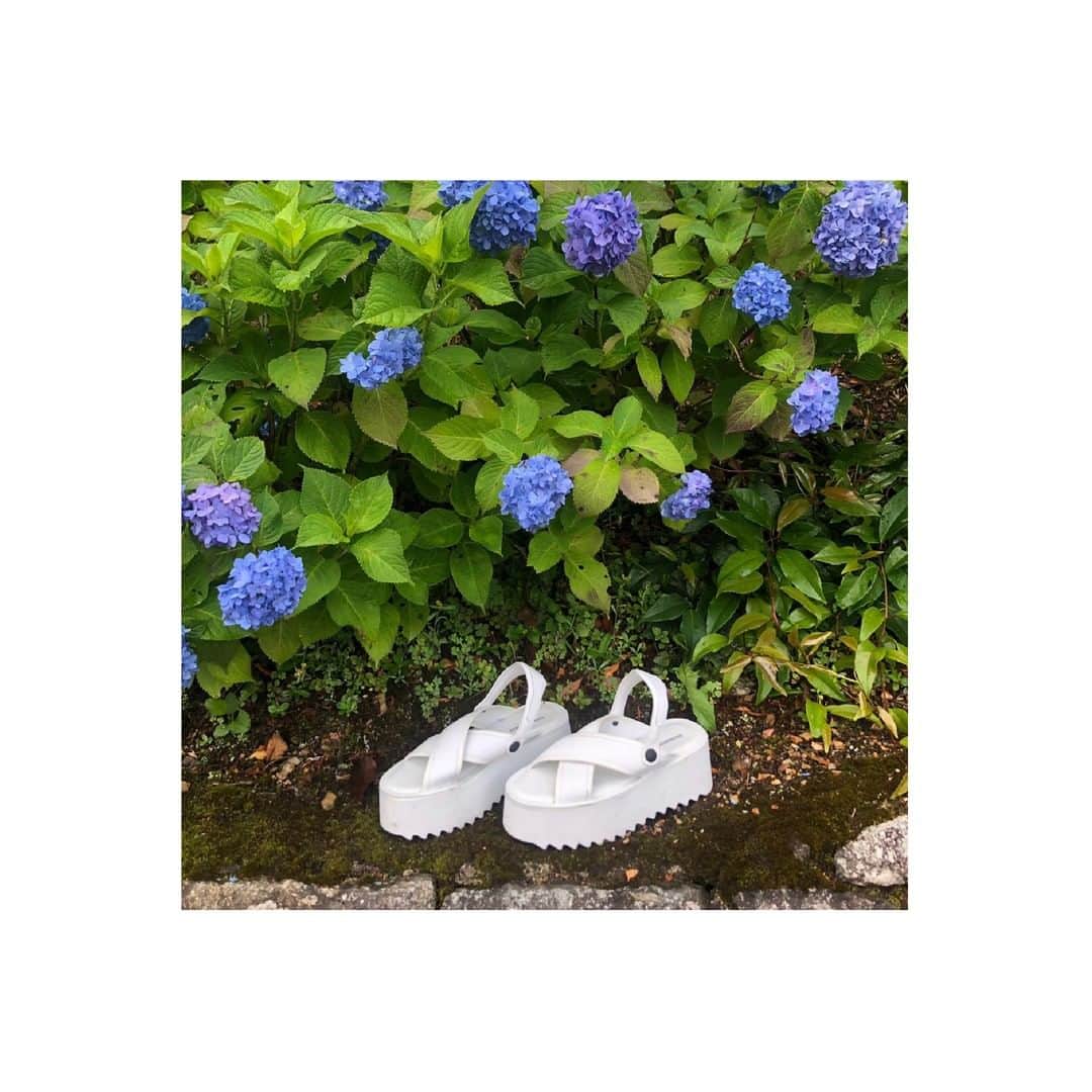のインスタグラム：「UP by @brunobordese @valentinaserra10 . . www.brunobordese.com . . . . . . . . #japan #up #white #leather #saldals #flawer #blue #filter #kyoto #garden #picoftheday #nofilter #trip #flipflop #brunobordese #fashion #madeinitaly #special #luxury #shoeslover #italianshoes #igshoes #summershoes #color #meetings」
