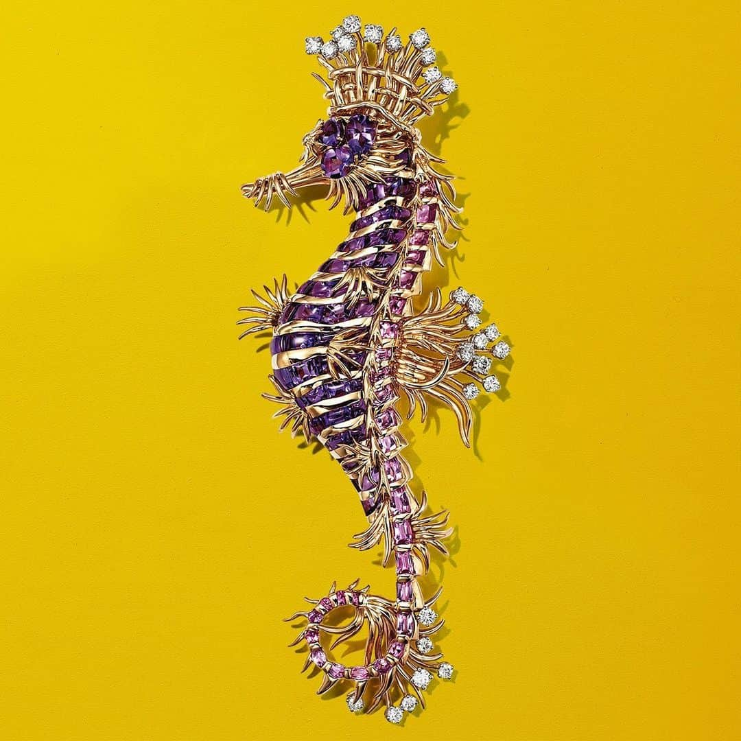 ティファニーさんのインスタグラム写真 - (ティファニーInstagram)「Archival Seahorse clip brooch designed by Jean Schlumberger. ——— Deep dive. Master of bringing the natural world to life, most famously through his ocean-inspired creations, #JeanSchlumberger possessed an innate understanding of movement. Wearing a crown of diamonds, this seahorse is dubbed the "king of the sea," coming to life with incredible scale, texture and dimension. Discover more via the link in bio. #Tiffany #TiffanyAndCo」7月6日 0時00分 - tiffanyandco