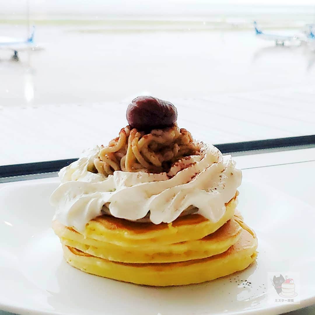 ミスター黒猫（黒猫仙人）のグルメインスタ