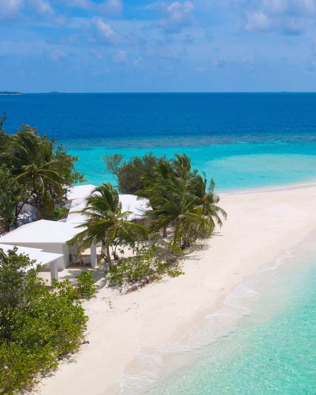 ブランディーナさんのインスタグラム写真 - (ブランディーナInstagram)「Brandina presenta Maldive, il nuovo colore per l’estate ispirato alle spiagge bianche e ai mari turchesi degli atolli maldiviani. Pensato per i veri amanti del mare e delle acque cristalline.  #brandinatheoriginal #brandina #colors #stripes #fashionitaly #photooftheday #bag #bags #summer2019 #maldive #maldives #beach #maldivesislands #travel #maldivesresorts #sunset #maldivas #paradise #maldiveslovers #love #indianocean #visitmaldives #ocean #sea #maldivesmania #maldivesisland #island #travelmaldives #maldivesparadise」7月6日 0時23分 - brandinatheoriginal