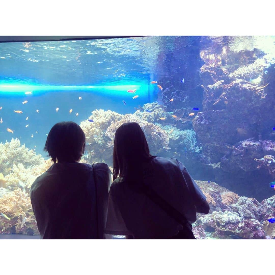 大西桃香さんのインスタグラム写真 - (大西桃香Instagram)「おさかな〜🐟🐠🐡 #水族館 #寺田美咲」7月6日 0時33分 - momo0920_official