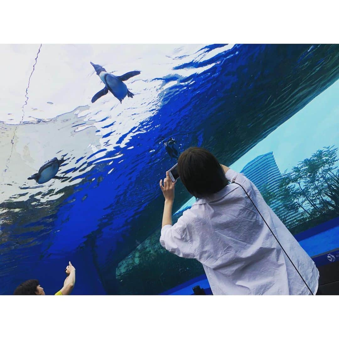 大西桃香さんのインスタグラム写真 - (大西桃香Instagram)「ペンギン🐧 上を泳いでた！！ #水族館 #ペンギン #可愛い」7月6日 0時36分 - momo0920_official