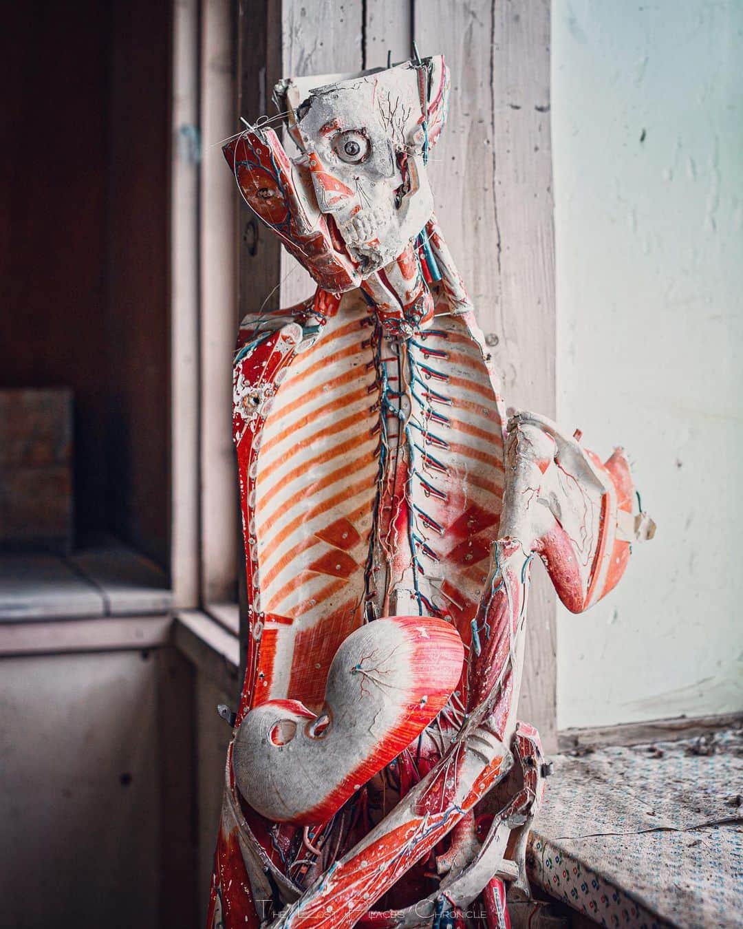 啝 （わ）のインスタグラム：「Portrait 𓆲 𓆲 𓆲 #廃墟 #Abandoned #AbandoniG #allabandoned #abandonedworld #Abandonedafterdark #abandoned_addiction #abandoned_greece #abandon_seekers_ #Abandoned_Excellence #abandonedcentral #beAlpha #discarded_butnot_forgotten #DECAY_iLLife #desertedplaces #ethereal_moods #grime_nation #grime_reapers #GoTrespassing #ig_urbex #Itsabandoned #KINGS_ABANDONED #renegade_abandoned #sombrexplore #urbex_supreme #urbex_regards #urbexplaces #urbex_disciple #urbex_utopia  #japan_urbex」