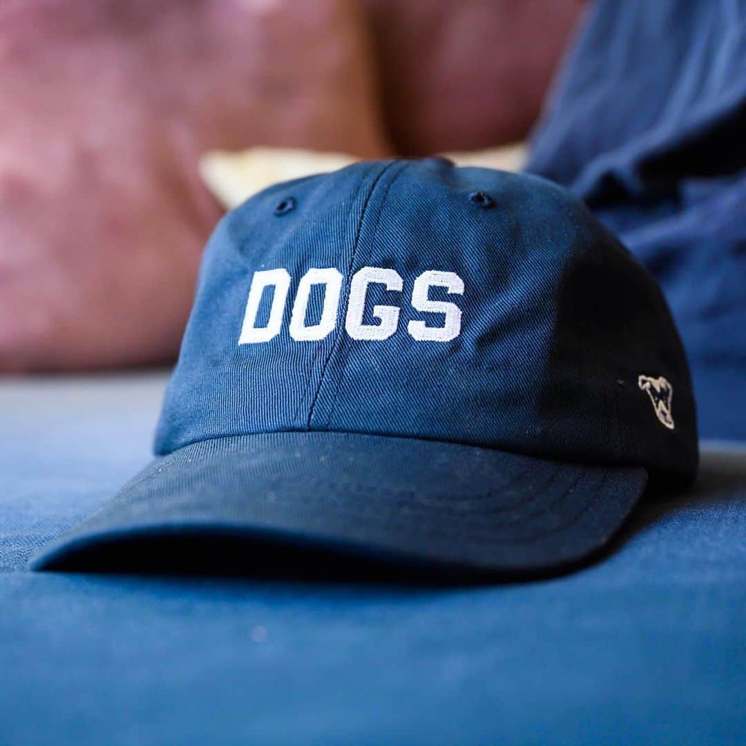 The Dogistさんのインスタグラム写真 - (The DogistInstagram)「New to the DOGS collection, hats! You may have tried to put your dog on your head with mixed results, and we commend your efforts. Given that most dogs do better on the ground or your lap, we have to make some sacrifices. The DOGS hat is here – the next best thing to wearing your dog on your head. Shop at the link in bio.」7月6日 0時58分 - thedogist