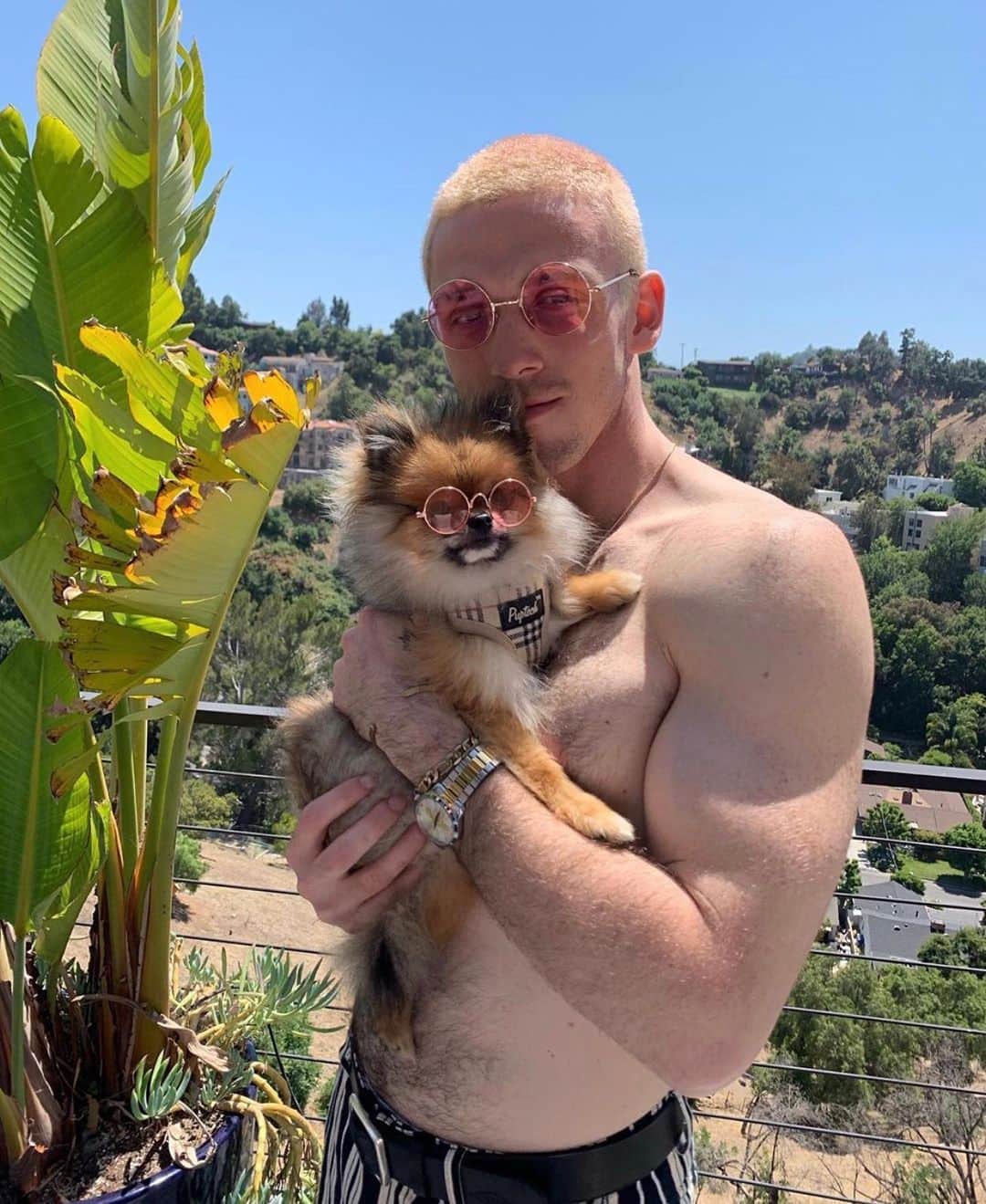 のインスタグラム：「#Lauv and his dog. That’s it that’s the post. 🐶 | 🔁 @lauvsongs」