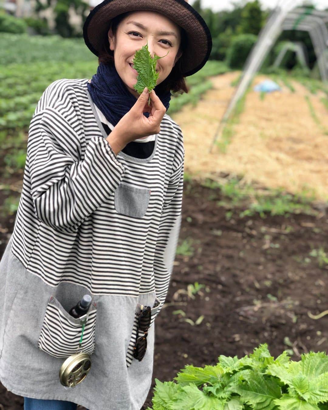 加藤紀子のインスタグラム：「畑行って大葉摘んで香り嗅いでフー。 今日は畑ファミリーに新たな生命が誕生して（ホカホカ赤ちゃんから放たれる全てが尊く甘かった👶） みんなでホッとしてホッコリしてニッコリした幸せな金曜日となりました🥰✨ #カトノリ農園  #畑からこんにちは  #畑からこんにちは赤ちゃん #大葉はニンニク醤油漬けにしてトッピングしたりおにぎりに巻いたり用途いろいろ大活躍」