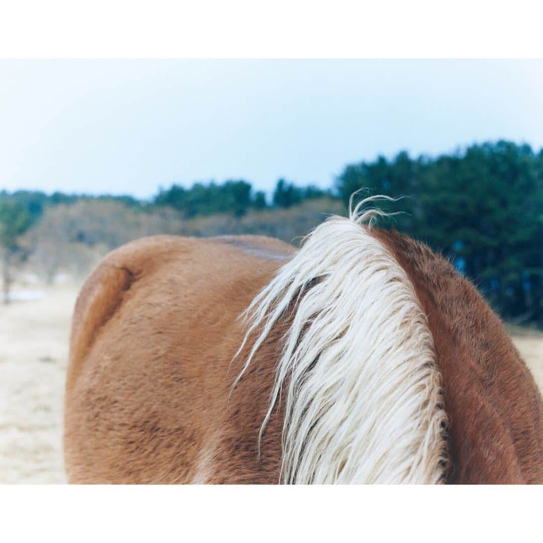 Fashion Headlineのインスタグラム：「【ART&CULTURE】 写真家・吉森慎之介(@shinnosukeyoshimori )さん初の写真集『うまれたてのあさ』発売。学芸大学の書店BOOK AND SONSでは、7/6(土)から写真展がスタートします。 書店の1階ギャラリーと2階スペースを使い展示されるのは冬の東北で同氏が目にした“うまれたて”の風景を写した作品。 静寂の雪国、まだ誰も踏み入れていない真っさらな朝にまばたきするように切り取られた写真たちに心が洗われます。 週末の予定にぜひおすすめしたいスポット🌿初日の17:00～19:30にはオープニングパーティーが開催されるそうです . 吉森慎之介写真展 「うまれたてのあさ」 会期: 7/6〜16 場所: BOOK AND SONS(@bookandsons ) 時間: 12:00～19:00 *7月6日のみ19:30まで *水曜定休 . #吉森慎之介 #うまれたてのあさ #うまあさ #shinnosukeyoshimori #photographer #photography #art #bookandsons #tokyo #kumamoto」