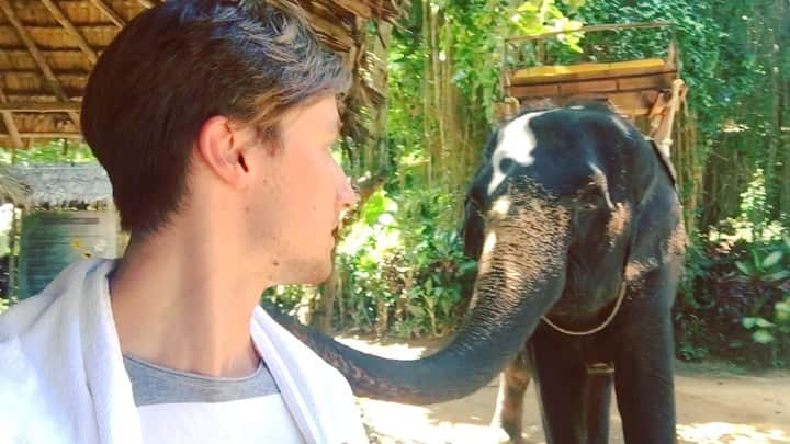 ルスラン・ジガンシンのインスタグラム：「#Тайланд #Пхукет #Азия #Путешествие #Thailand #Phuket #Travel #Elephant #Happy #фигурноекатание #фигурноекатаниедети  #спортврадость #сборыпофигурномукатанию  #сборы #летниесборы #скольжение #офп #постановкапрограмм  #figureskating #icedance #Ifss #happy #sport #summercamp #smile #спортивныйКлубАйсберг #звонитеНиките #РусланЖиганшин #RuslanZhiganshin #ZhiganshinRuslan #フィギュアスケート」