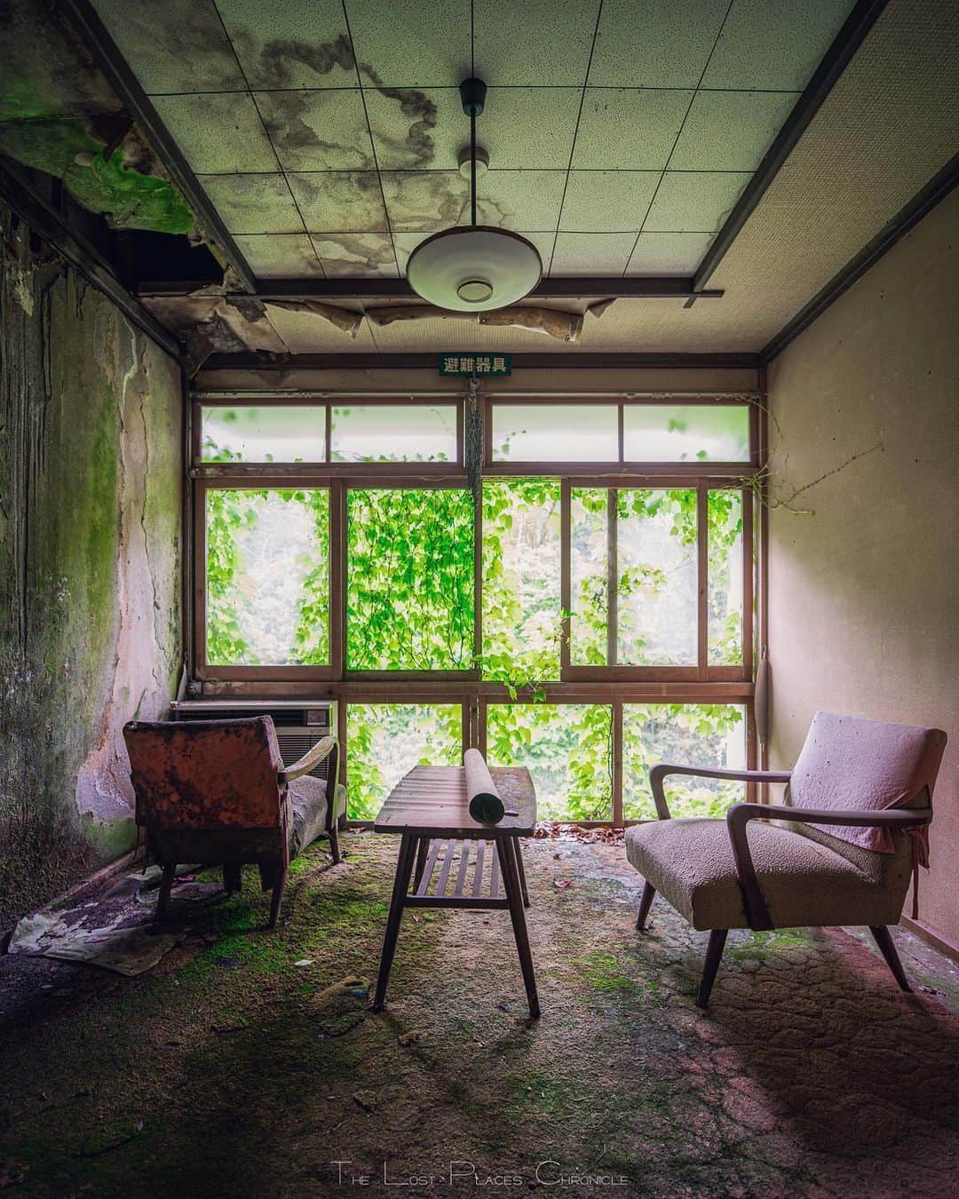 啝 （わ）さんのインスタグラム写真 - (啝 （わ）Instagram)「Ease 𓆲 𓆲 𓆲 #廃墟 #Abandoned #AbandoniG #allabandoned #abandonedworld #Abandonedafterdark #abandoned_addiction #abandoned_greece #abandon_seekers_ #Abandoned_Excellence #abandonedcentral #beAlpha #discarded_butnot_forgotten #DECAY_iLLife #desertedplaces #ethereal_moods #grime_nation #grime_reapers #GoTrespassing #ig_urbex #Itsabandoned #KINGS_ABANDONED #renegade_abandoned #sombrexplore #urbex_supreme #urbex_regards #urbexplaces #urbex_disciple #urbex_utopia  #japan_urbex」7月6日 1時52分 - neji_maki_dori