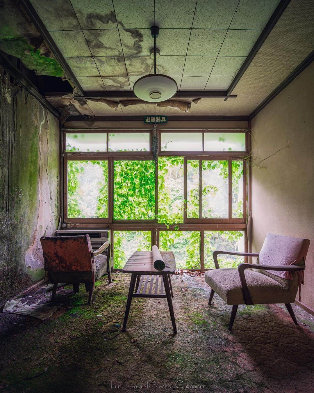 啝 （わ）のインスタグラム：「Ease 𓆲 𓆲 𓆲 #廃墟 #Abandoned #AbandoniG #allabandoned #abandonedworld #Abandonedafterdark #abandoned_addiction #abandoned_greece #abandon_seekers_ #Abandoned_Excellence #abandonedcentral #beAlpha #discarded_butnot_forgotten #DECAY_iLLife #desertedplaces #ethereal_moods #grime_nation #grime_reapers #GoTrespassing #ig_urbex #Itsabandoned #KINGS_ABANDONED #renegade_abandoned #sombrexplore #urbex_supreme #urbex_regards #urbexplaces #urbex_disciple #urbex_utopia  #japan_urbex」