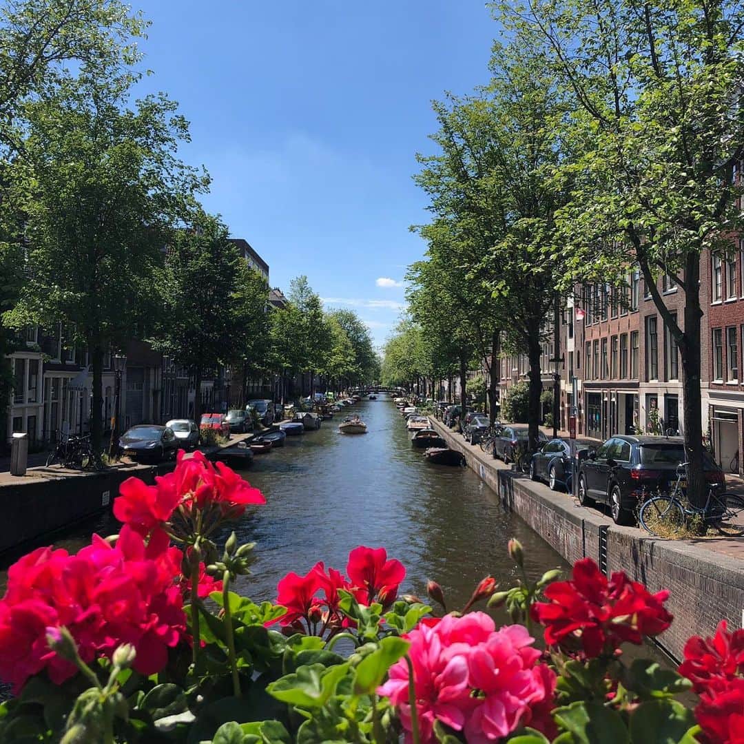 リッキー・ジャーヴェイスさんのインスタグラム写真 - (リッキー・ジャーヴェイスInstagram)「It’s annoying when you have to interrupt a weekend of walking around the canals of Amsterdam, eating and drinking, to perform to 12,000 people, but life is cruel sometimes. #SuperNature」7月6日 1時52分 - rickygervais