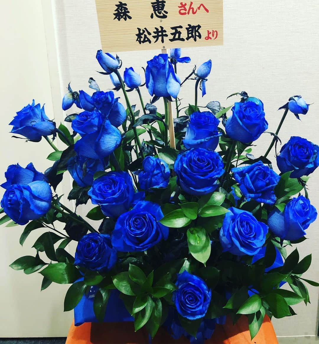 森恵さんのインスタグラム写真 - (森恵Instagram)「松井五郎さんから昨日贈って頂いた青いバラ。 花言葉は『夢かなう』『奇跡』『神の祝福』など。 青いバラの品種を生み出すことが世界中のバラ愛好家の間で夢とされていて、英語で「Blue Rose」といえば「不可能（存在しないもの）」の象徴だったそう。  私は何を可能に出来るだろう。 ひたすらに音楽に向き合おう。  #松井五郎 さん #青いバラ #Bluerose」7月6日 12時49分 - morimegumi_official