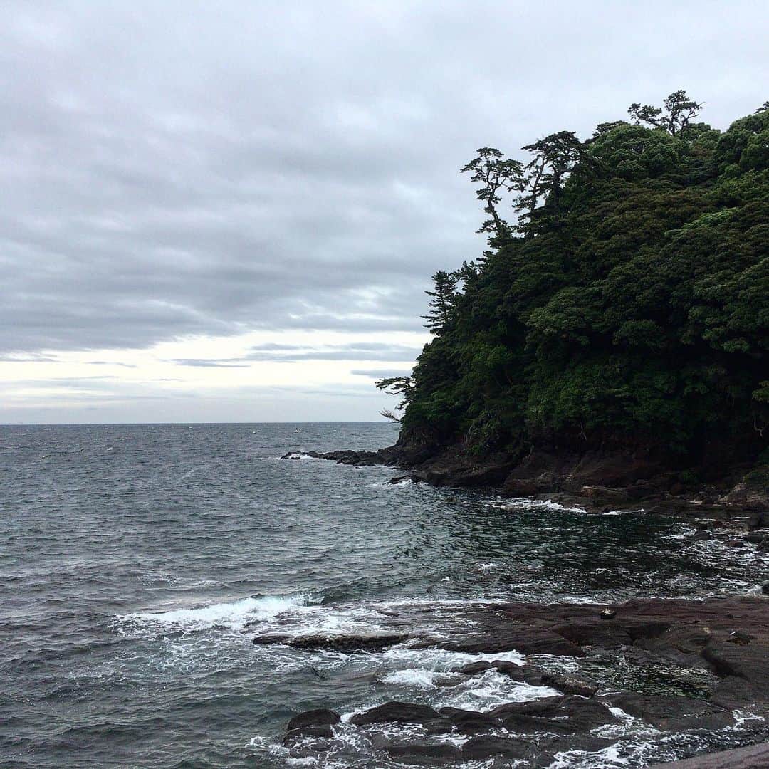 のインスタグラム：「雨の合間を縫って朝の半島ランを〜。 濡れたアスファルトを裸足で走るとなかなか気持ちいいですね。ただ、強風や大雨の後は枝や小石が多いのがアレですけど…ってなんのこっちゃw 今日は家の片付けやらセリフやらなんやらをやりましょうかね。 皆さまも素敵な週末をお過ごしください〜(｀_´)ゞ #stopデ部 #ランでした #真鶴半島」