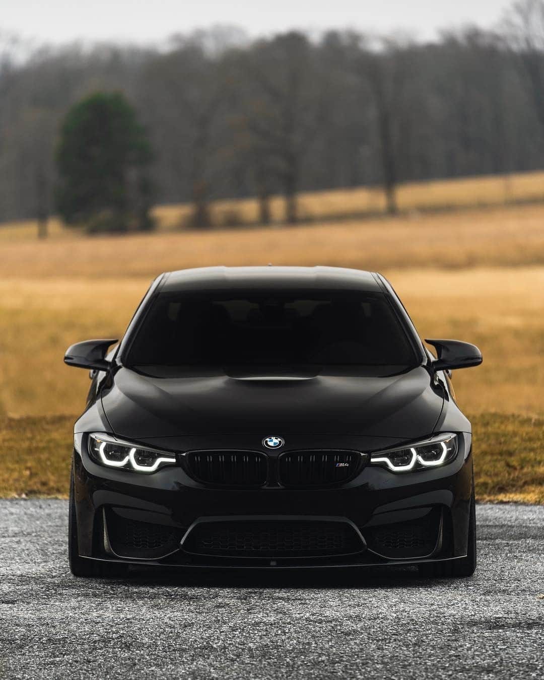BMWのインスタグラム：「Power's natural habitat.  The BMW M4 Coupé. #BMWrepost @shadow_m4 #TheM4 #BMW #M4 #BMWM __ BMW M4 Coupé: Fuel consumption in l/100 km (combined): 10.2 - 9.9 (9.5 - 9.3). CO2 emissions in g/km (combined): 232 - 225 (217 - 211). The figures in brackets refer to the vehicle with seven-speed M double-clutch transmission with Drivelogic. The values of fuel consumptions, CO2 emissions and energy consumptions shown were determined according to the European Regulation (EC) 715/2007 in the version applicable at the time of type approval. The figures refer to a vehicle with basic configuration in Germany and the range shown considers optional equipment and the different size of wheels and tires available on the selected model. The values of the vehicles are already based on the new WLTP regulation and are translated back into NEDC-equivalent values in order to ensure the comparison between the vehicles. [With respect to these vehicles, for vehicle related taxes or other duties based (at least inter alia) on CO2-emissions the CO2 values may differ to the values stated here.] The CO2 efficiency specifications are determined according to Directive 1999/94/EC and the European Regulation in its current version applicable. The values shown are based on the fuel consumption, CO2 values and energy consumptions according to the NEDC cycle for the classification. For further information about the official fuel consumption and the specific CO2 emission of new passenger cars can be taken out of the „handbook of fuel consumption, the CO2 emission and power consumption of new passenger cars“, which is available at all selling points and at https://www.dat.de/angebote/verlagsprodukte/leitfaden-kraftstoffverbrauch.html.」