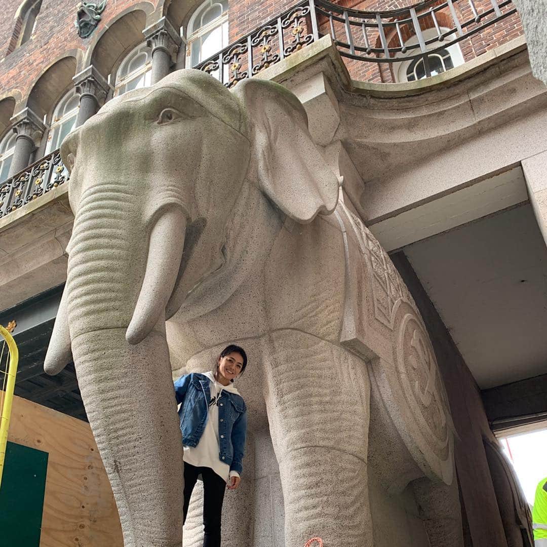 前田典子さんのインスタグラム写真 - (前田典子Instagram)「#カールスバーグ 🍺エリアの ホテルに宿泊 この辺り新しい町を建設中 カールスベルグミュージアムは行ったのに休みだった😢 デンマークでは🇩🇰 カールスベルグと発音する  散歩中の可愛いわんこ❤️」7月6日 5時24分 - maenorichang