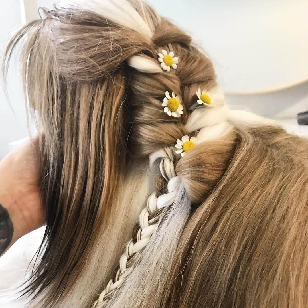 Dogs by Ginaのインスタグラム：「Beautiful... until first head shake! 😂 Made good use of my recycled @themonkeyflowergroup flowers 👌🏼😘」