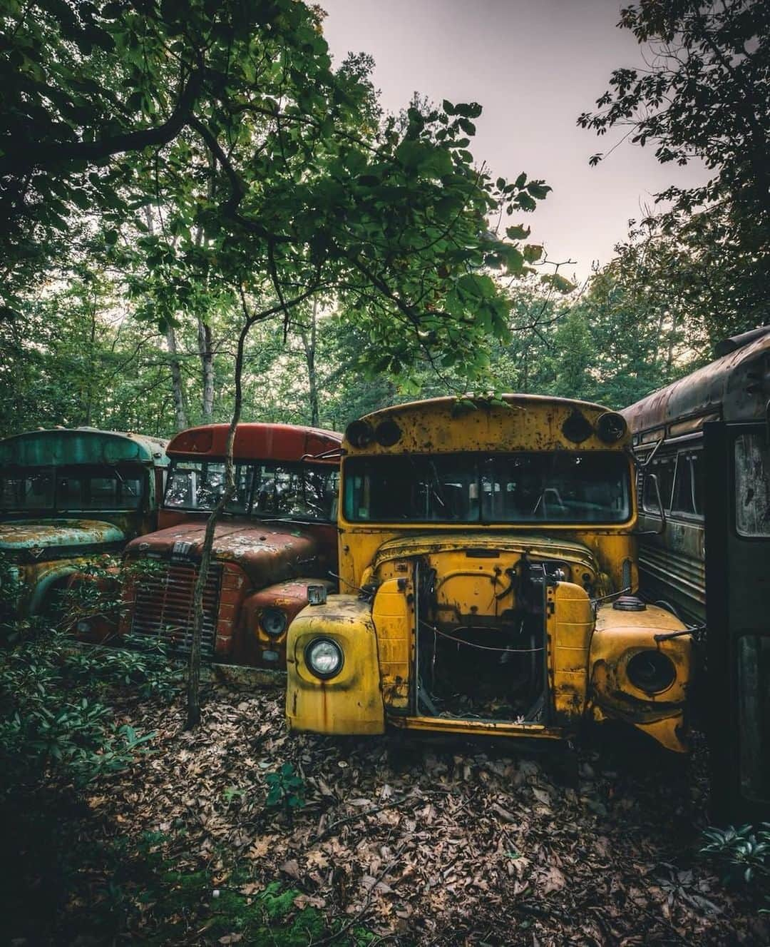 Abandoned Placesさんのインスタグラム写真 - (Abandoned PlacesInstagram)「The bus graveyard 💀 Photography by @jayson.cassidy . . . . . . #itsabandoned #decay #ruins #explore #urbex #UrbanExploring #history #adventure #abandonedplaces #photography #abandonedphotography #travel #forgotten #abandoned #allabandoned #gramslayers #artofvisuals #AOV #MoodyGrams #illgrammers #HeaterCentral #createcommune #AGameofTones #create #abandonednature #abandonedEurope #urbexphotography #urbandecay #exploreeverywhere #photography」7月6日 6時22分 - itsabandoned