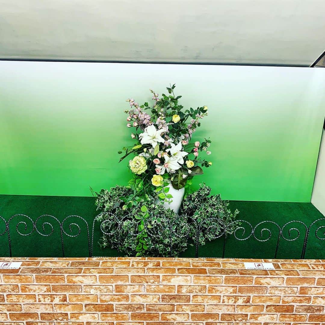 小谷実由さんのインスタグラム写真 - (小谷実由Instagram)「背景グラデだし鉢の周りを取り囲む緑たちも、なんともファンタジーだな #花壇ウォッチャー」7月6日 9時48分 - omiyuno