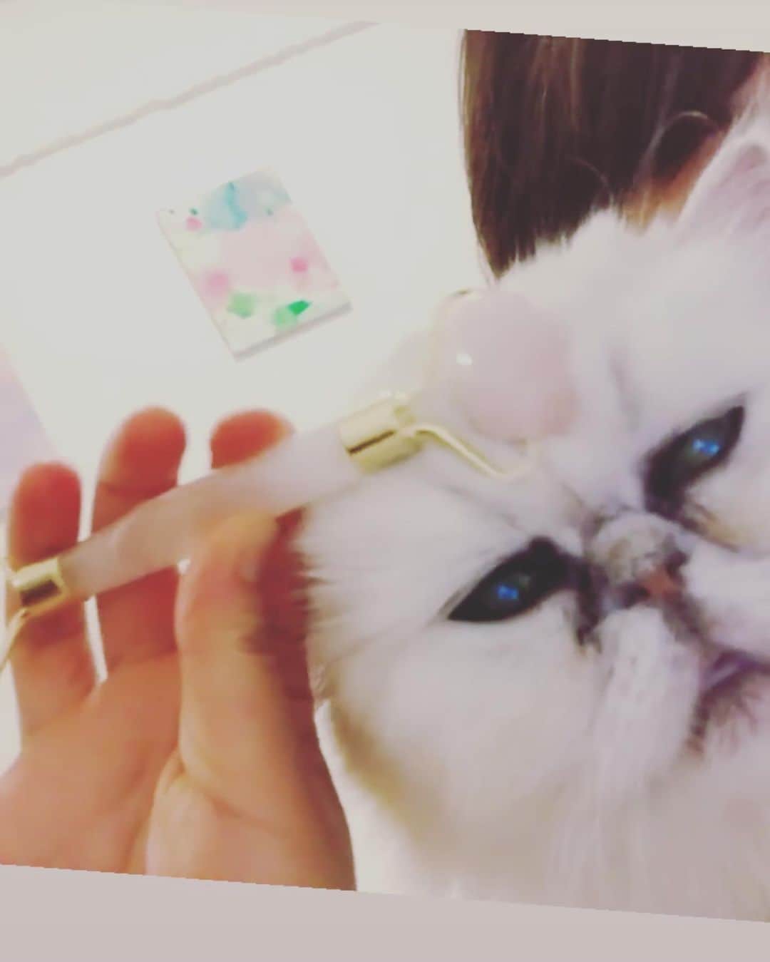 橋本麗香のインスタグラム：「トロける😚💓💓💓🤤 はぁー 癒しの波動と癒しの波動は 相性が良いようです😂 フェイスローラー使ってくれてありがとう🥰 @nacojournal ． #ローズクォーツ #癒し #ありがとう #お顔がタイプ❤️」