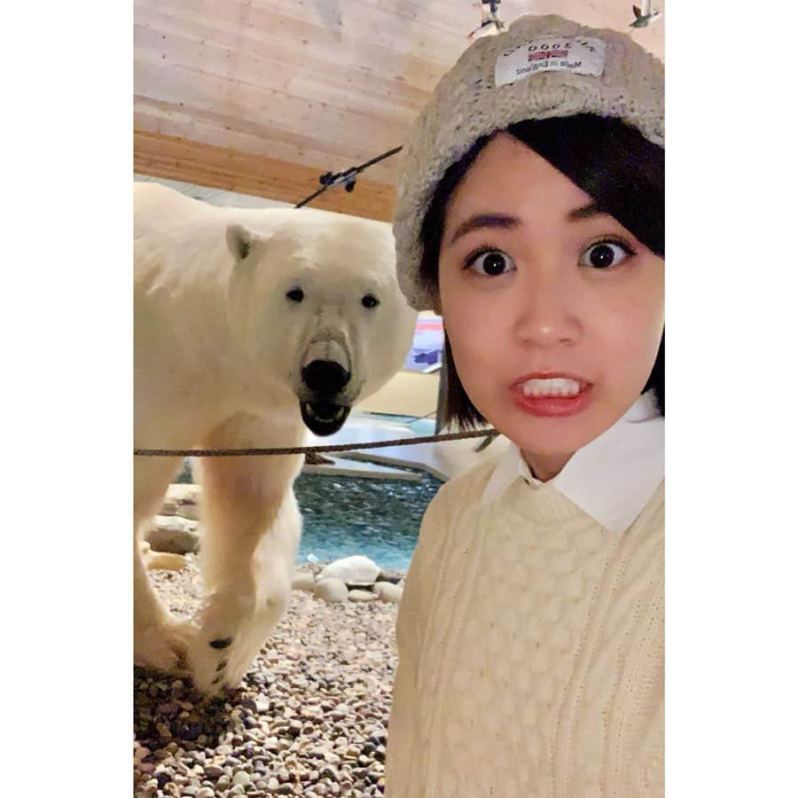 VANRIさんのインスタグラム写真 - (VANRIInstagram)「🐻＜今夜だよー！ボクが大活躍するよー！ . 前回訪れた時に見ることが出来た スヴァールバルライチョウと北極キツネの変化にもご注目！ その他にも極北とは思えないほど あらゆる野生動物が出てきます✨ Don't miss it‼️ #世界ふしぎ発見 #ミステリーハンター #tbs #norway #svalbard #ノルウェー領 #スヴァールバル諸島 #svalbardmuseum #スヴァールバル博物館 #polarbear #シロクマ #ホッキョクグマ #剥製  #一週間船上生活 #極北大冒険 #氷が生んだ野生の王国」7月6日 10時36分 - vanri0121