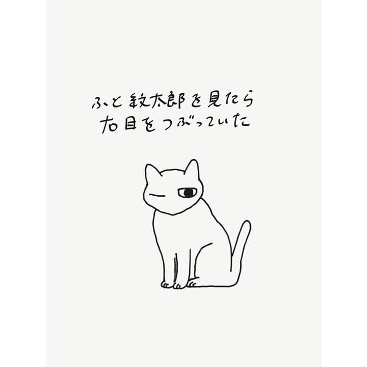 eriさんのインスタグラム写真 - (eriInstagram)「海外のホテルのベッドで寝るとき猫いなくてのびのび最高〜〜！ってなるのは隠しはしません。 #紋久育児日記 は前回のイカ耳事件のつづき。」7月6日 10時45分 - e_r_i_e_r_i