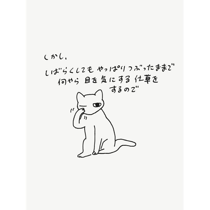 eriさんのインスタグラム写真 - (eriInstagram)「海外のホテルのベッドで寝るとき猫いなくてのびのび最高〜〜！ってなるのは隠しはしません。 #紋久育児日記 は前回のイカ耳事件のつづき。」7月6日 10時45分 - e_r_i_e_r_i