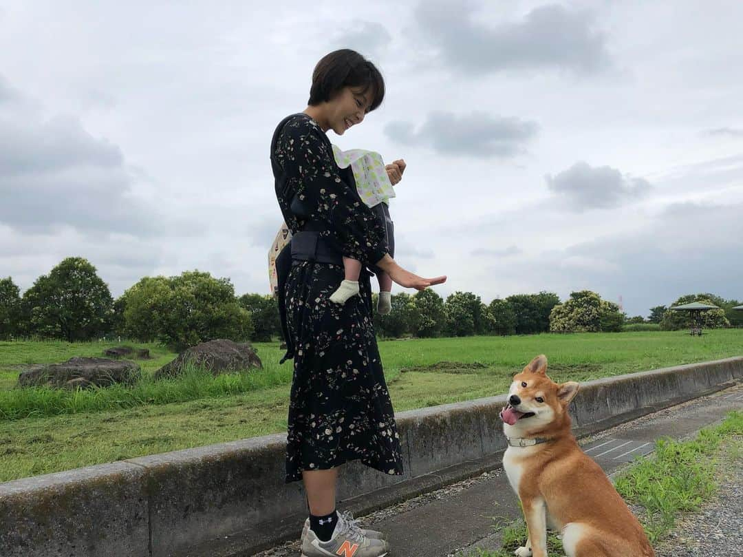 舞名里音さんのインスタグラム写真 - (舞名里音Instagram)「じゃじゃまるー。 「おすわり。」 「はい、待てだよー。待て。 待て。待て。」 #おはようございます #じゃじゃまるとお出かけ #よかったね #早くおやつちょうだい #柴犬 #じゃじゃまる #🐾 #くもり #気持ちのいい気候 #清々しい風 #いぬのいる暮らし #幸せ #ありがとう #今日も素敵な一日を」7月6日 10時48分 - maina_rion