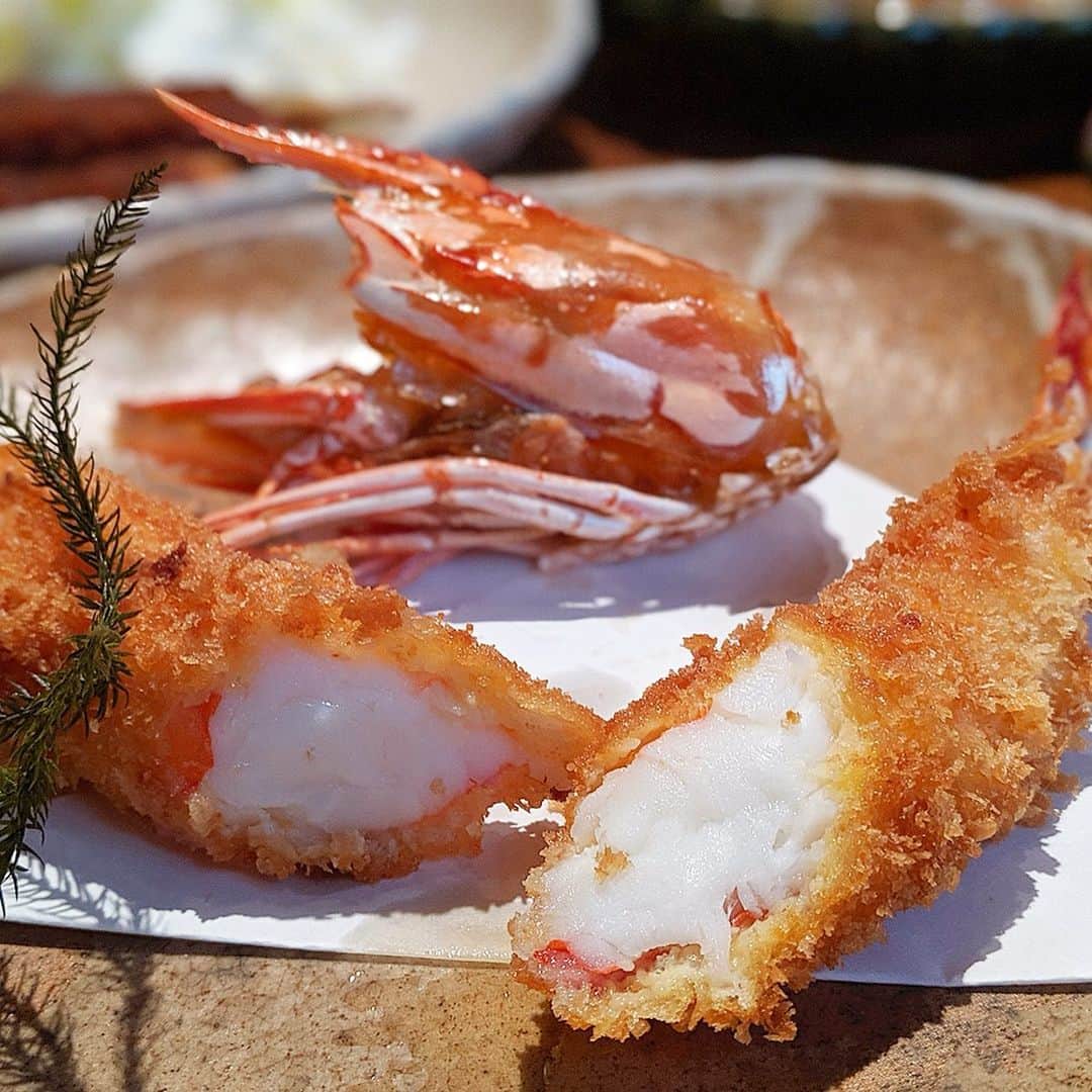 大見さなえのグルメインスタ