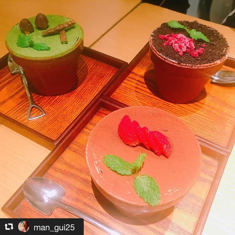 ハレノヒのインスタグラム：「#repost @man_gui25 via @PhotoAroundApp  ずっと行きたかった#ハレノヒ 植木鉢スイーツ食べました。かわいい #新宿ルミネエスト #植木鉢スイーツ #新宿カフェ  #ティラミス #ズコット #抹茶  @man_gui25様 ご来店ありがとうこさあますございます😊お写真も嬉しいです♪ #ここでしか食べられない#🍰#フラワーポット#スイーツ#かわいい#ルミネエスト新宿#harenohi#cafe#cute#shinjuku#tokyo#lumineest#flowerpot」