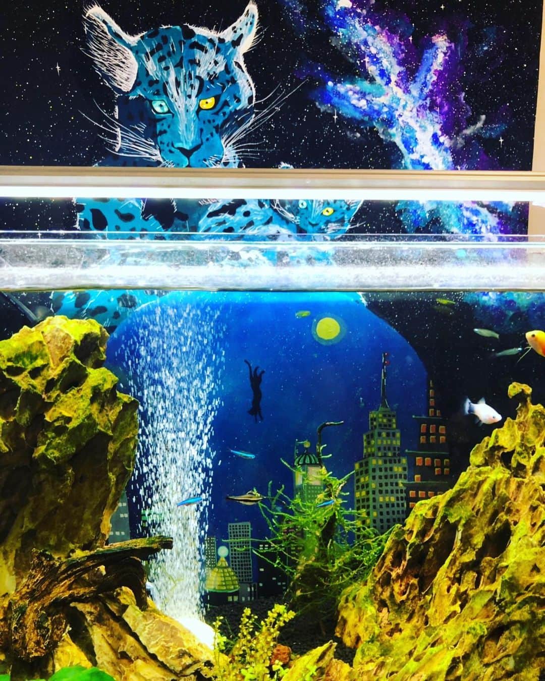 辻本祐樹さんのインスタグラム写真 - (辻本祐樹Instagram)「水槽を眺め、台本読み。 水槽を眺め、台本読み。 猫触り、水槽眺め。 水槽眺め、猫触る。  #絵画 #水槽 #熱帯魚 #水槽レイアウト #うそかん」7月6日 22時58分 - tsujimotoyuuki