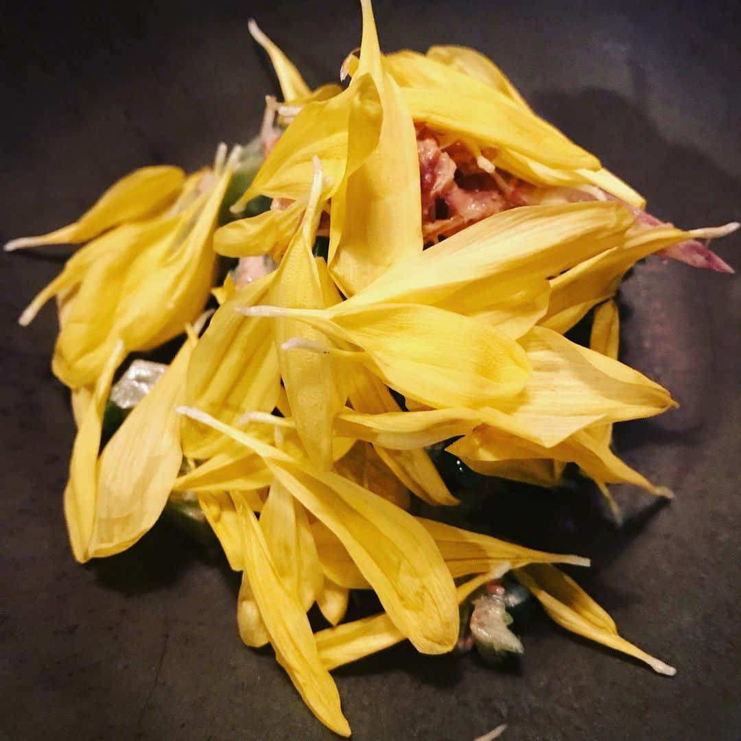 田中ウルヴェ京のグルメインスタ