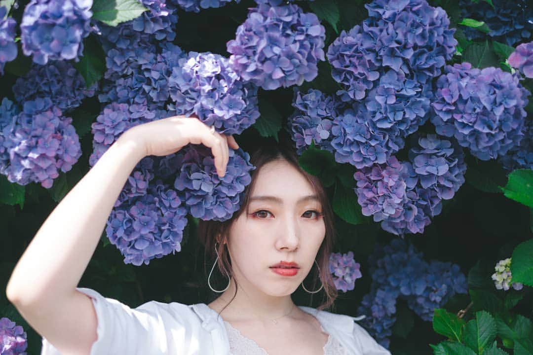 貴愛kwiae Officialのインスタグラム：「無数の花びらの結合体。 紫陽花。 * 雨も晴れも似合う花。 * 梅雨が終わりそうだけど 紫陽花の美しさは変わらないので、 プロフィール今更変えました。」