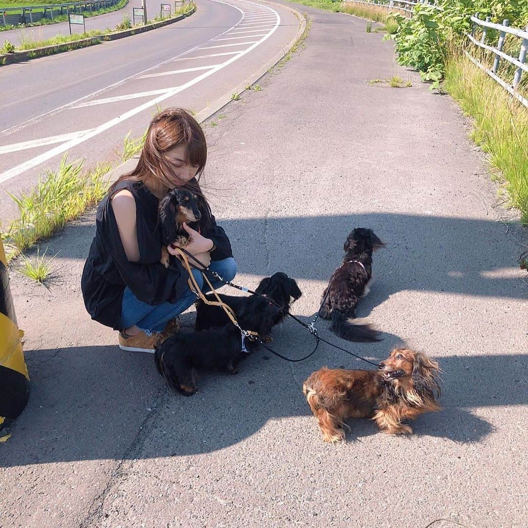 神咲詩織さんのインスタグラム写真 - (神咲詩織Instagram)「いぬいぬいぬいぬいぬ！笑  楽しい家族旅行𓀠✨」7月6日 21時26分 - nexter_nippon