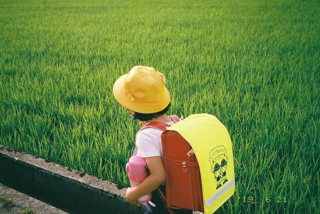 kazuyukikawaharaさんのインスタグラム写真 - (kazuyukikawaharaInstagram)「子供たちの毎日を写真に残している。抱えきれないお昼寝布団、氷入りのお茶が入った水筒、保育園の玄関に咲いていた紫陽花、風呂上がりのおでこの冷えピタ、夕焼けとガリガリ君、ピンぼけの繋いだ手。夏が始まった。 #KLASSE #fujifilm  #film」7月6日 21時33分 - kazuyukikawahara