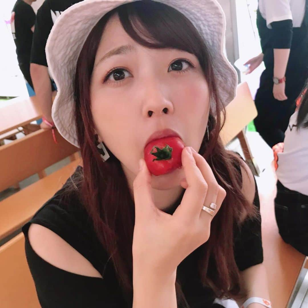 白井奈津さんのインスタグラム写真 - (白井奈津Instagram)「🍅🥒 連写 by @misa_wakahara  #夏のはじまり #今日は京都大作戦行ったよ」7月6日 21時37分 - shirai_natsu