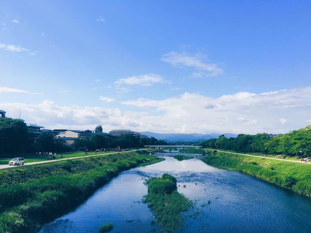 藤野可織さんのインスタグラム写真 - (藤野可織Instagram)「久しぶりに外出したら緑の勢いがすごかった（私は筋肉痛）。」7月6日 21時49分 - fujinono