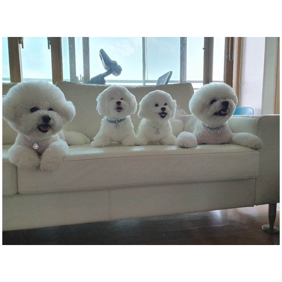シン・セギョンのインスタグラム：「진국이 사랑이를 위한 목걸이,인형 선물 감사합니다💕 @tirrlirr_official」